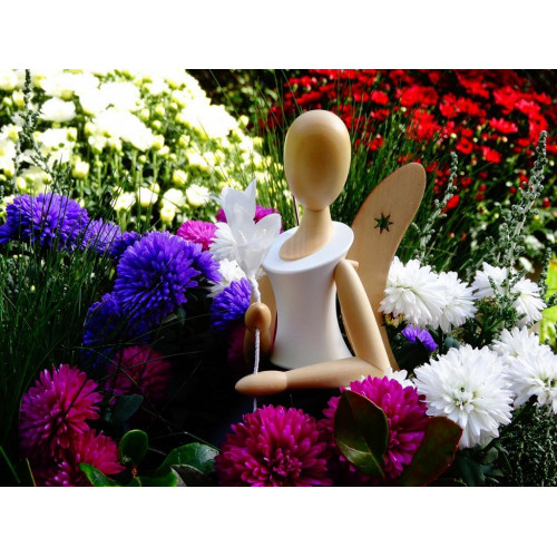 Sternkopf-Engel, kniend, mit Blume